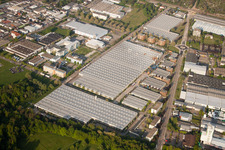 Vue oblique de Entrepôt de pièces Daimler, entrepôt de verre Mercedes à Ettlingen dans le département Bade-Wurtemberg, Allemagne