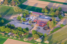 Vue aérienne de Pension pour chevaux Renz à Au am Rhein dans le département Bade-Wurtemberg, Allemagne