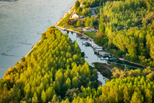 Vue aérienne de Auer Altrhein à Au am Rhein dans le département Bade-Wurtemberg, Allemagne