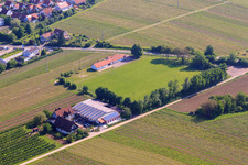 Vue oblique de Terrain de sport à Impflingen dans le département Rhénanie-Palatinat, Allemagne