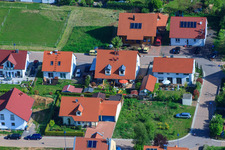 Dans le champ de pois à le quartier Mörzheim in Landau in der Pfalz dans le département Rhénanie-Palatinat, Allemagne d'en haut