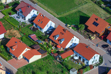 Dans le champ de pois à le quartier Mörzheim in Landau in der Pfalz dans le département Rhénanie-Palatinat, Allemagne vue du ciel