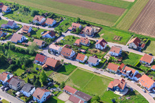 Dans le champ de pois à le quartier Mörzheim in Landau in der Pfalz dans le département Rhénanie-Palatinat, Allemagne d'en haut