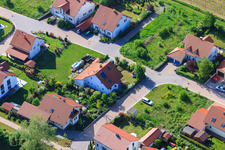 Image drone de Dans le champ de pois à le quartier Mörzheim in Landau in der Pfalz dans le département Rhénanie-Palatinat, Allemagne