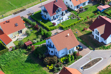 Dans le champ de pois à le quartier Mörzheim in Landau in der Pfalz dans le département Rhénanie-Palatinat, Allemagne hors des airs