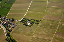 Photographie aérienne de Domaine Bioland Marzolph à le quartier Wollmesheim in Landau in der Pfalz dans le département Rhénanie-Palatinat, Allemagne