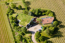 Vue oblique de BiolandViticulture Unterm Grassdach Domaine Marzolph à le quartier Wollmesheim in Landau in der Pfalz dans le département Rhénanie-Palatinat, Allemagne