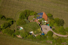 Vignoble Bioland sous le toit en herbe du domaine Marzolph à le quartier Wollmesheim in Landau in der Pfalz dans le département Rhénanie-Palatinat, Allemagne vu d'un drone