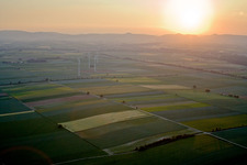 Vue aérienne de Éoliennes (WEA) - éoliennes - dans un champ à Minfeld dans le département Rhénanie-Palatinat, Allemagne