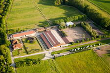 Vue aérienne de Centre équestre Engelberth sur Bögnerweg à Wiesloch dans le département Bade-Wurtemberg, Allemagne