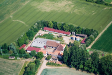 Vue aérienne de Moulin à rebord à Erlenbach bei Kandel dans le département Rhénanie-Palatinat, Allemagne