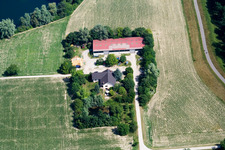 Vue aérienne de Seehof (labyrinthe de maïs) à Leimersheim dans le département Rhénanie-Palatinat, Allemagne
