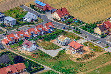 Vue aérienne de Dans l'ancien champ à Neupotz dans le département Rhénanie-Palatinat, Allemagne