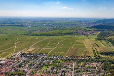 Vue aérienne de Weisenheim am Berg et Leistadt à le quartier Leistadt in Bad Dürkheim dans le département Rhénanie-Palatinat, Allemagne