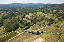 Vue aérienne de Vignobles à Kallstadt dans le département Rhénanie-Palatinat, Allemagne