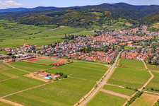 Vue aérienne de TuS 1883 Wachenheim eV à le quartier Wachenheim in Wachenheim an der Weinstraße dans le département Rhénanie-Palatinat, Allemagne