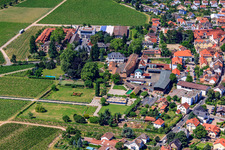 Vue aérienne de Bâtiments et parcs du domaine viticole Dr. Loup de Bürklin à le quartier Wachenheim in Wachenheim an der Weinstraße dans le département Rhénanie-Palatinat, Allemagne