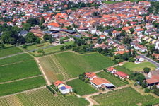 Bâtiments et parcs du domaine viticole Dr. Bürklin-Wolf à le quartier Wachenheim in Wachenheim an der Weinstraße dans le département Rhénanie-Palatinat, Allemagne d'en haut