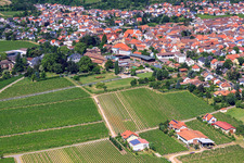 Bâtiments et parcs du domaine viticole Dr. Bürklin-Wolf à le quartier Wachenheim in Wachenheim an der Weinstraße dans le département Rhénanie-Palatinat, Allemagne hors des airs