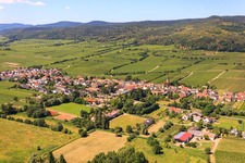 Vue aérienne de Village viticole sur la route des vins du Palatinat entre les vignobles de l'est à le quartier Forst in Forst an der Weinstraße dans le département Rhénanie-Palatinat, Allemagne