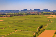 Vue aérienne de Du nord-est à Essingen dans le département Rhénanie-Palatinat, Allemagne