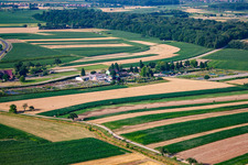Garden Times Black à le quartier Bodersweier in Kehl dans le département Bade-Wurtemberg, Allemagne du point de vue du drone
