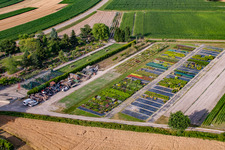 Photographie aérienne de Garden Times Black à le quartier Bodersweier in Kehl dans le département Bade-Wurtemberg, Allemagne