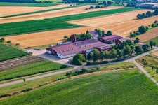 Vue aérienne de Grüner Fant UG Paysagisme, salaires et travaux de jardinage à le quartier Bodersweier in Kehl dans le département Bade-Wurtemberg, Allemagne