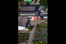 Garden Times Black à le quartier Bodersweier in Kehl dans le département Bade-Wurtemberg, Allemagne hors des airs