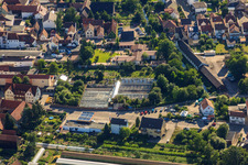 Vue aérienne de Serres sur Lindenstr à Rülzheim dans le département Rhénanie-Palatinat, Allemagne