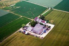 Vue aérienne de Vins et vins mousseux Rosenhof à Steinweiler dans le département Rhénanie-Palatinat, Allemagne
