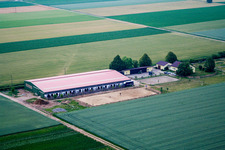 Vue aérienne de Ferme équestre à Steinweiler dans le département Rhénanie-Palatinat, Allemagne