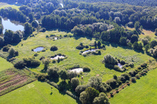 Vue aérienne de Biotope à Steinfeld dans le département Rhénanie-Palatinat, Allemagne