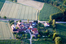 Vue aérienne de Welschhof à Minfeld dans le département Rhénanie-Palatinat, Allemagne