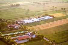 Vue aérienne de Weilerhof à le quartier Schaidt in Wörth am Rhein dans le département Rhénanie-Palatinat, Allemagne