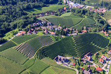 Vue aérienne de Pentes abruptes du vignoble de l'Eichwald à le quartier Büchelbach in Sasbachwalden dans le département Bade-Wurtemberg, Allemagne
