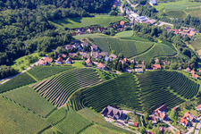Vue aérienne de Pentes abruptes du vignoble de l'Eichwald à le quartier Büchelbach in Sasbachwalden dans le département Bade-Wurtemberg, Allemagne