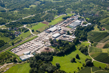 Vue aérienne de Site de scierie dans le district d'Obeachern à Achern dans le département Bade-Wurtemberg, Allemagne