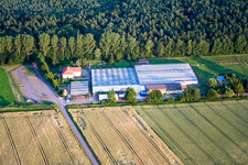 Photographie aérienne de Terre de cactus à Steinfeld dans le département Rhénanie-Palatinat, Allemagne