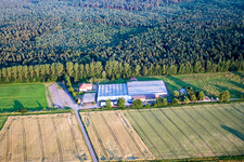 Vue oblique de Terre de cactus à Steinfeld dans le département Rhénanie-Palatinat, Allemagne