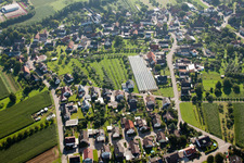 Vue aérienne de Quartier Großweier in Achern dans le département Bade-Wurtemberg, Allemagne