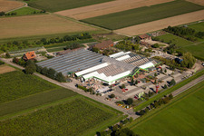 Vue aérienne de Marché aux plantes Blumen Decker GmbH à le quartier Großweier in Achern dans le département Bade-Wurtemberg, Allemagne