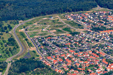 Vue aérienne de Nouvelle zone de développement Eisvogelstraße en cours de développement à Jockgrim dans le département Rhénanie-Palatinat, Allemagne