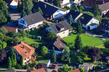 Enregistrement par drone de Petite forêt à le quartier Ellmendingen in Keltern dans le département Bade-Wurtemberg, Allemagne