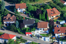 Image drone de Petite forêt à le quartier Ellmendingen in Keltern dans le département Bade-Wurtemberg, Allemagne