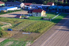 Vue aérienne de Point de départ LSG Bienwald-Falken eV à Hatzenbühl dans le département Rhénanie-Palatinat, Allemagne