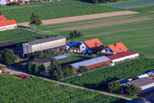 Vue aérienne de Fermes d'émigrants à Hatzenbühl dans le département Rhénanie-Palatinat, Allemagne