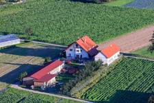 Vue oblique de Fermes d'émigrants à Hatzenbühl dans le département Rhénanie-Palatinat, Allemagne