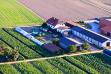 Fermes d'émigrants à Hatzenbühl dans le département Rhénanie-Palatinat, Allemagne hors des airs