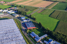 Vue aérienne de Zone commerciale Horst, Bienwald-Fitness World à le quartier Minderslachen in Kandel dans le département Rhénanie-Palatinat, Allemagne